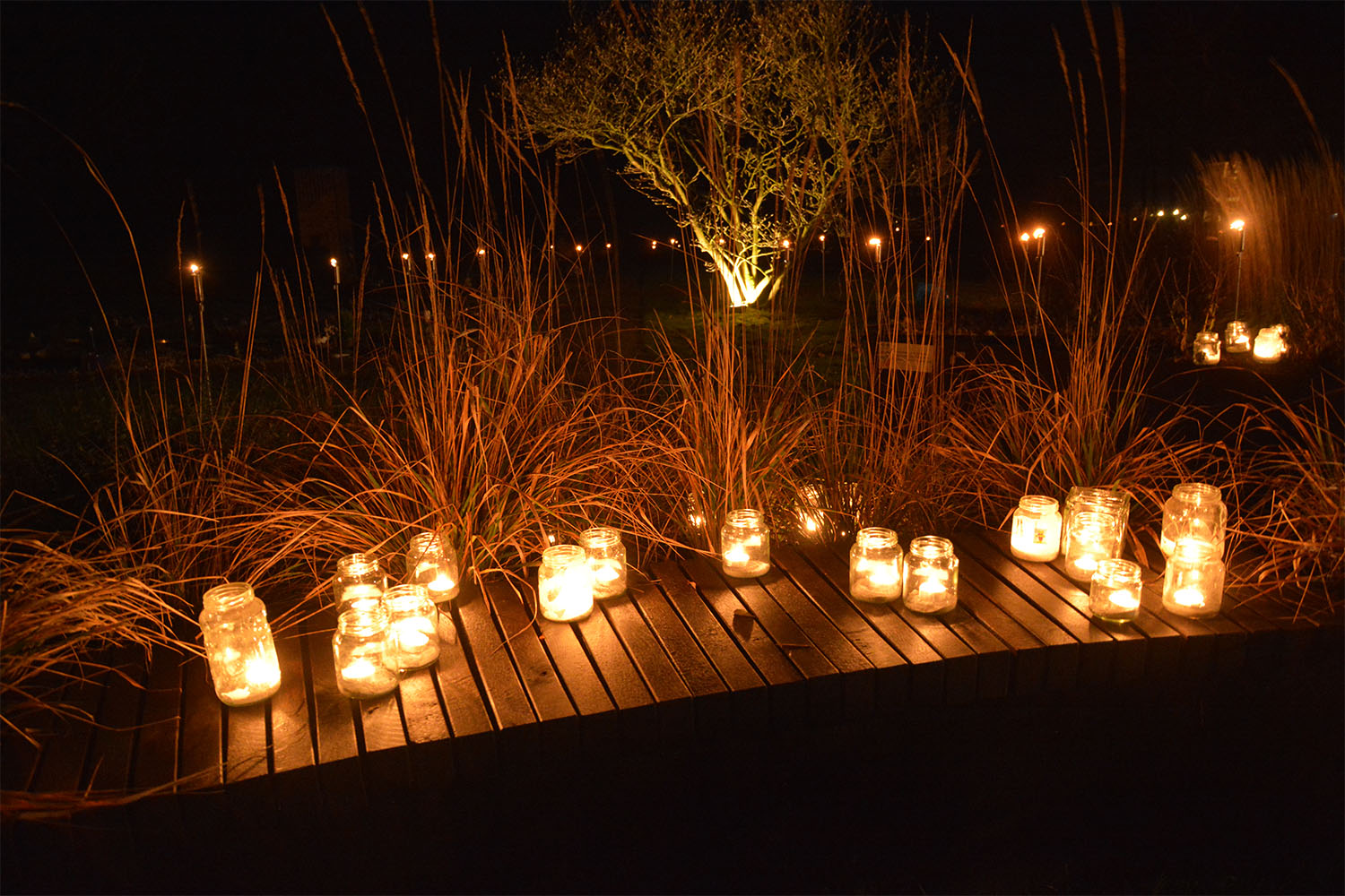 Voorafgaand aan Wereldlichtjesdag